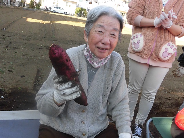 芋掘り