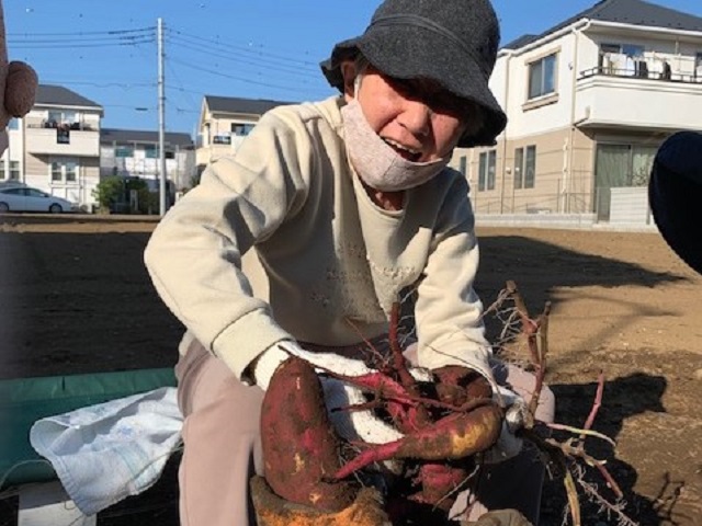 芋掘り