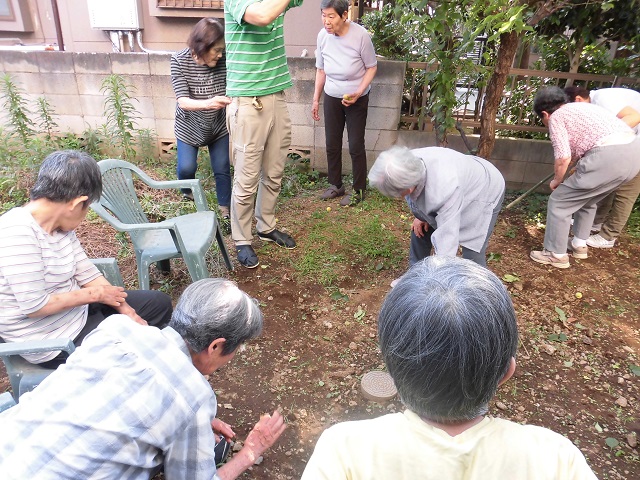 季節の実り