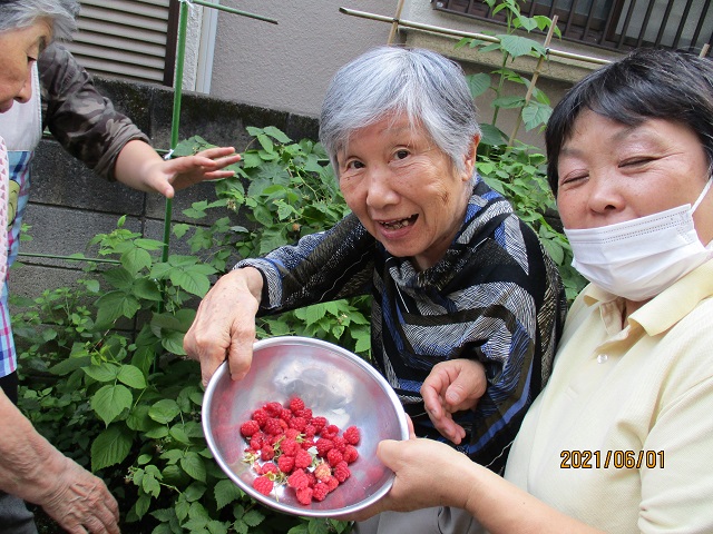 季節の実り