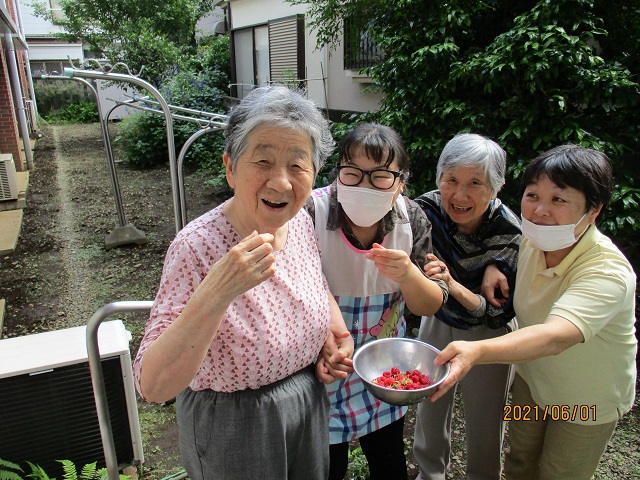 季節の実り