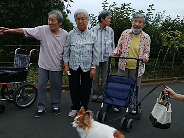 お散歩・ゲーム・歌の会etc...