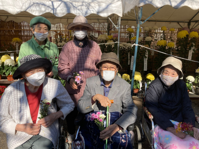 菊花展